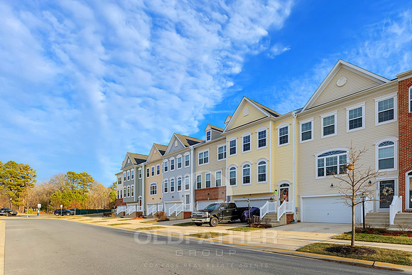 BRUNSWICK-20868-PRINT-002