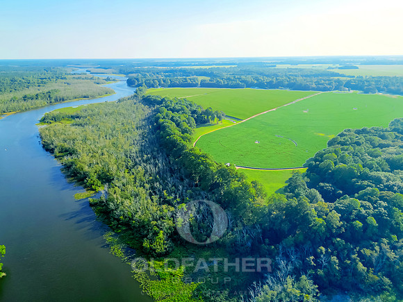 PALMERS-6549-PRINT-021