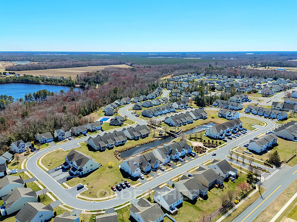 PLANTATION-29880-PRINT-008