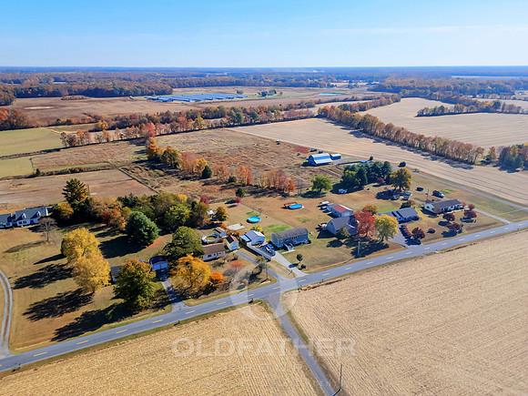 HOLLETS-600-PRINT-007