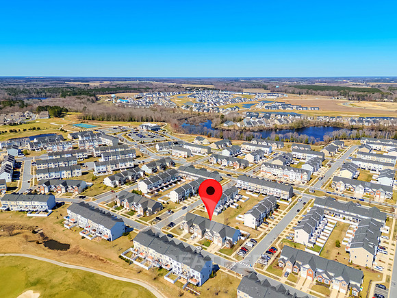 BRUNSWICK-20849-PRINT-004B