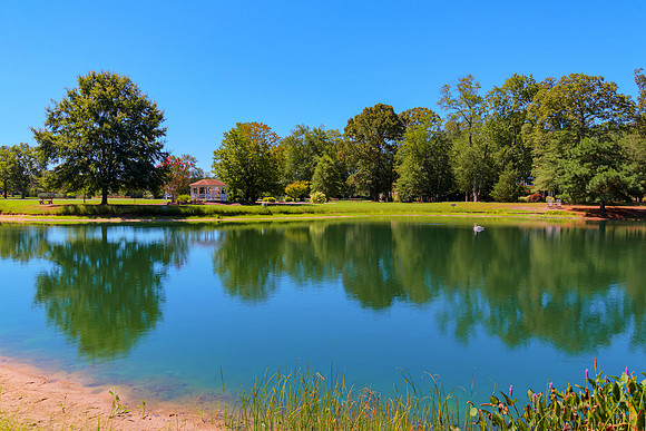 POND-DOCK-PRINT-005