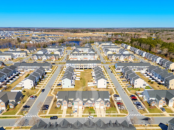BRUNSWICK-20849-PRINT-002
