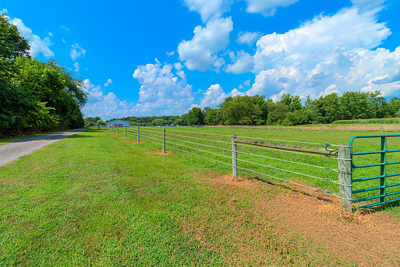 LYNNBURY-PRINT-081