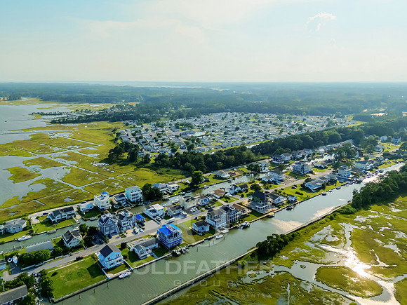 MEADOW-12341-PRINT-003