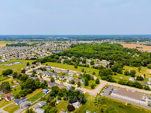 BUR-OAK-101-PRINT-008