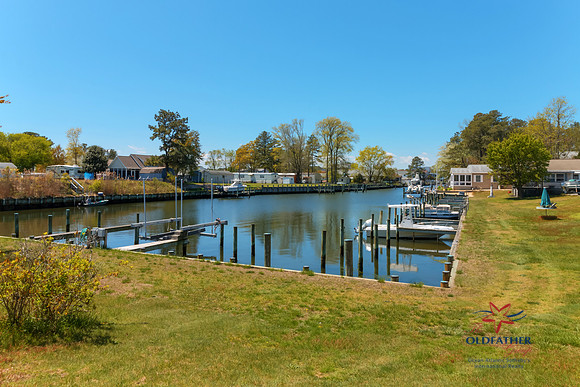 PINEYPOINT-PRINT-51