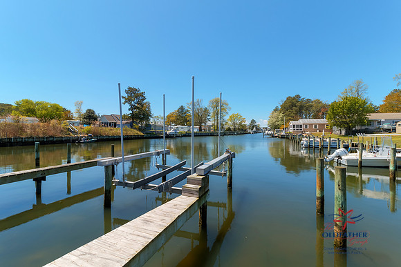 PINEYPOINT-PRINT-52