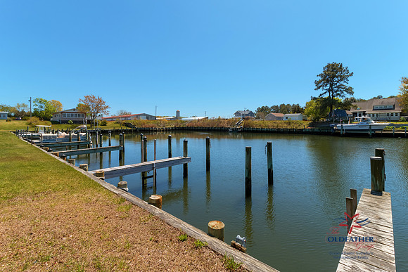PINEYPOINT-PRINT-54