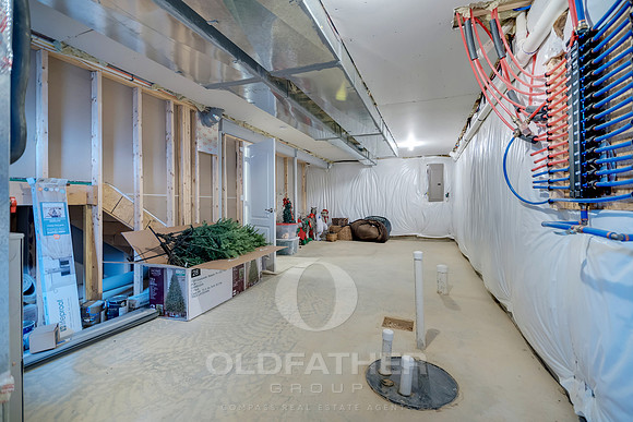 OLMSTED-1169-PRINT-063