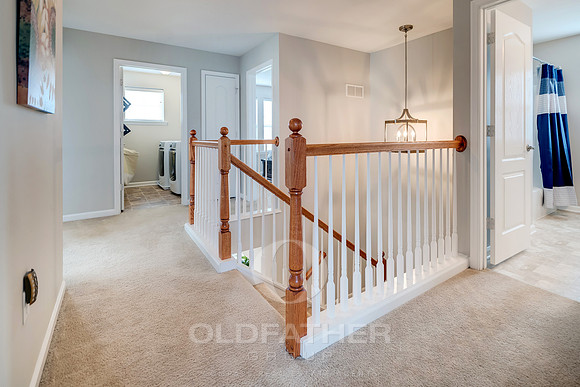 OLMSTED-1169-PRINT-029