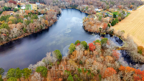 HICKORY-18041-PRINT-006