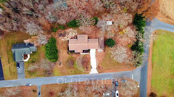 HICKORY-18041-PRINT-009