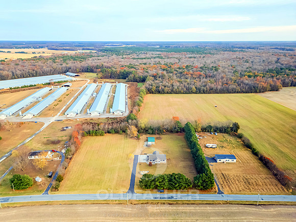WEBB-FARM-11169-PRINT-009