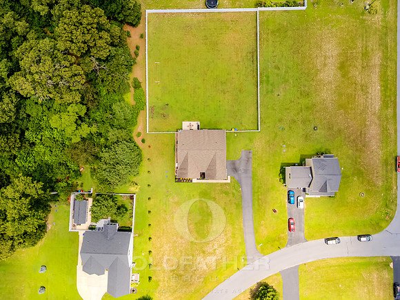COUNTRY-MEADOW-25951-PRINT-012