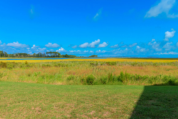 BIGMARSH-PRINT-016