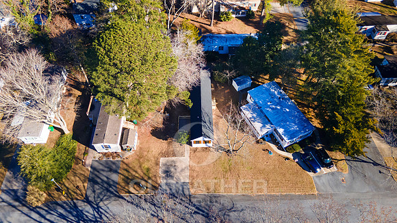 PINEWOOD-34017-PRINT-002