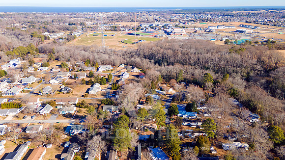 PINEWOOD-34017-PRINT-001
