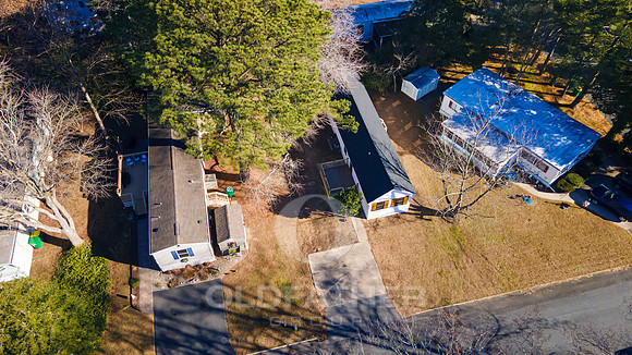 PINEWOOD-34017-PRINT-004
