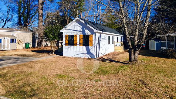 PINEWOOD-34017-PRINT-010