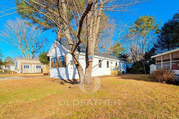 PINEWOOD-34017-PRINT-017