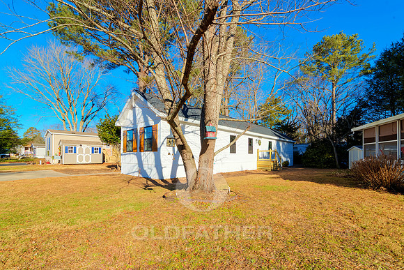 PINEWOOD-34017-PRINT-016