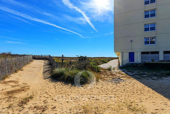 OG-OFFICE-OCMD-PRINT-008