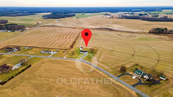 WOODYARD-10046-PRINT-001B