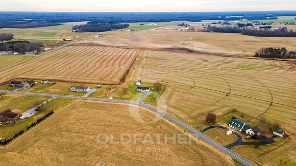 WOODYARD-10046-PRINT-001