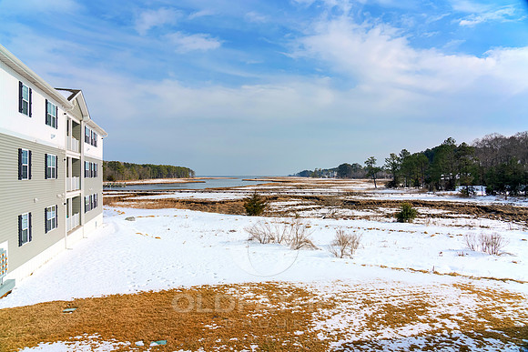 OLD-SALT-LN-33548-PRINT-006
