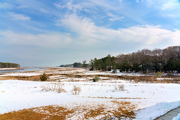 OLD-SALT-LN-33548-PRINT-007