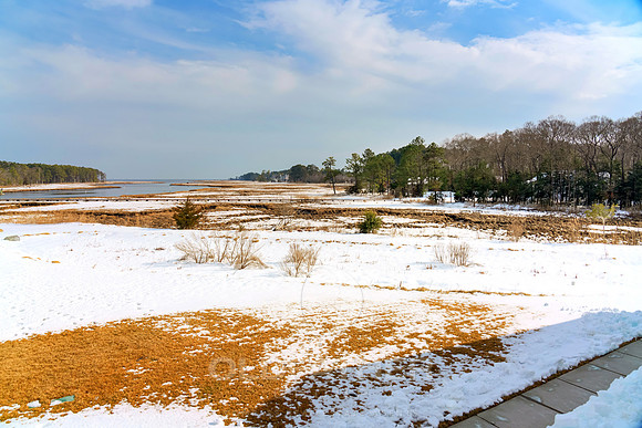 OLD-SALT-LN-33548-PRINT-008