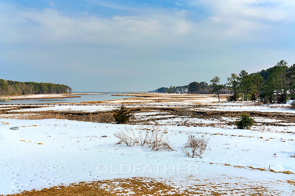 OLD-SALT-LN-33548-PRINT-009