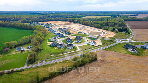 LEVEE-54-PRINT-003