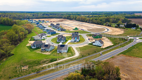 LEVEE-54-PRINT-004