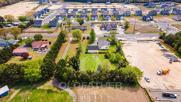 HARMONS-28881-PRINT-003