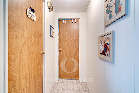 RABBIT-38052-PRINT-036