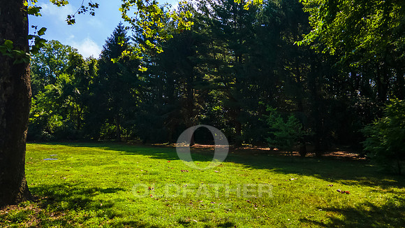 WILLOW-CREEK-15905-PRINT-059