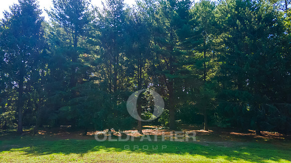 WILLOW-CREEK-15905-PRINT-060