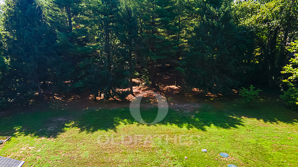 WILLOW-CREEK-15905-PRINT-061