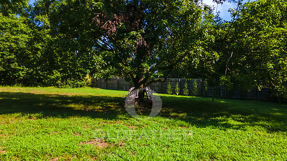 WILLOW-CREEK-15905-PRINT-062