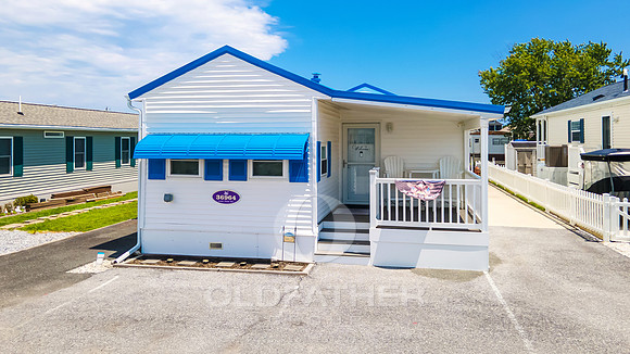LAWS-POINT-36964-PRINT-013