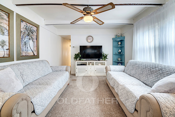 LAWS-POINT-36964-PRINT-030