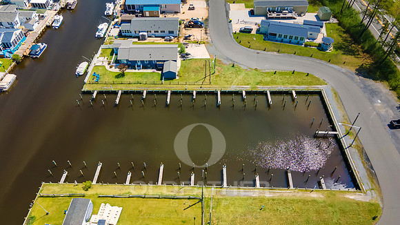 SUSSEX-LN-35386-PRINT-009