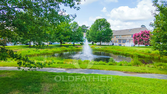 IRON-POINTE-10007-PRINT-017