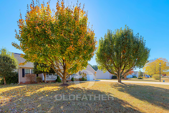ANCIENT-OAK-EXT-PRINT-018