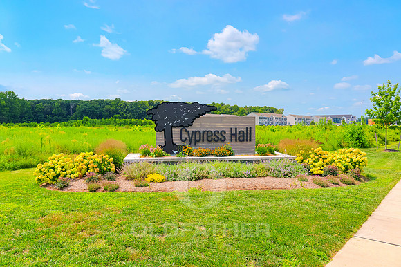 CYPRESS-HALL-PRINT-004