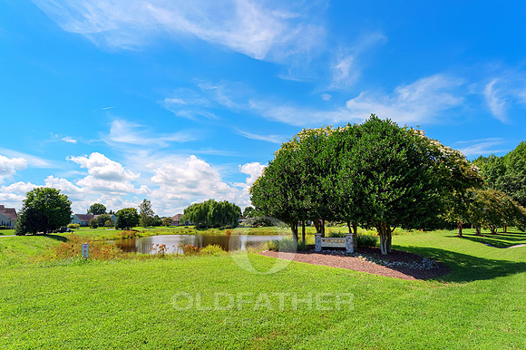THE-WOODS-AT-OYSTER-ROCK-SIGN-PRINT-001