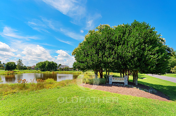 THE-WOODS-AT-OYSTER-ROCK-SIGN-PRINT-002