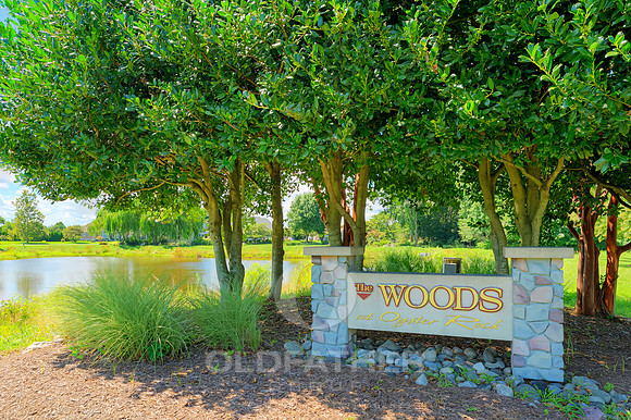 THE-WOODS-AT-OYSTER-ROCK-SIGN-PRINT-004